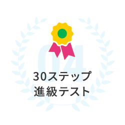 30ステップ進級テスト